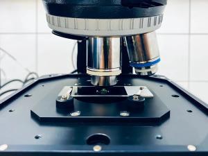 Future validation studies with a larger sample size are warranted to ensure the technique will be useful in a clinical setting. | Image credit: Artur Wnorowski - stock.adobe.com