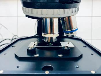 Future validation studies with a larger sample size are warranted to ensure the technique will be useful in a clinical setting. | Image credit: Artur Wnorowski - stock.adobe.com