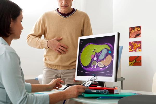spleen and liver | Image credit: RFBSIP - stock.adobe.com