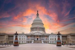 Capitol building | Image credit: pozdeevvs - stock.adobe.com