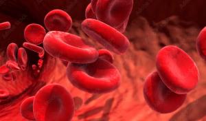 Red blood cells | Image: Design Cells © AdobeStock