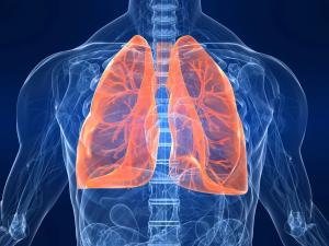 Long-Term Data for PHAROS Show Half of Treatment-Naïve Patients Receiving Encorafenib Plus Binimetinib Alive at 4 Years
