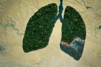 Patients with asthma are experiencing worse asthma symptoms with the effects of climate change. | Image Credit: alones - stock.adobe.com