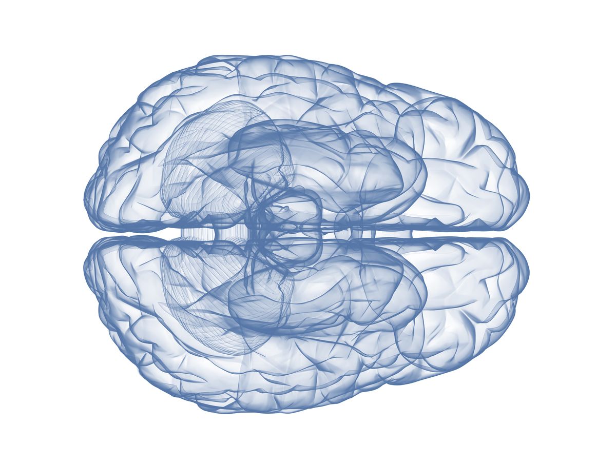 Drawing of brain