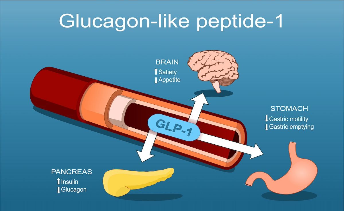 Bioglutide NA-931 The influence of GLP-1 signaling | Shaanxi BLOOM Tech Co., Ltd Bioglutide NA-931 The influence of GLP-1 signaling | Shaanxi BLOOM Tech Co., Ltd