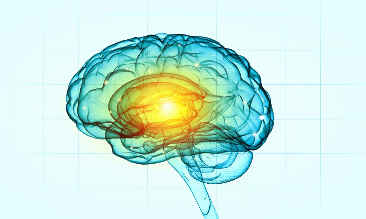 Patients With Anorexia Nervosa Demonstrate Altered Brain Circuitry