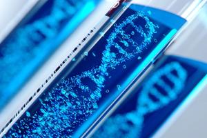 DNA in test tube | Image Credit: Connect world - stock.adobe.com