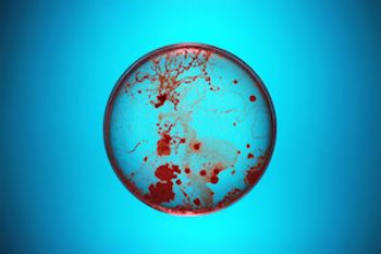 graphic of antibiotic