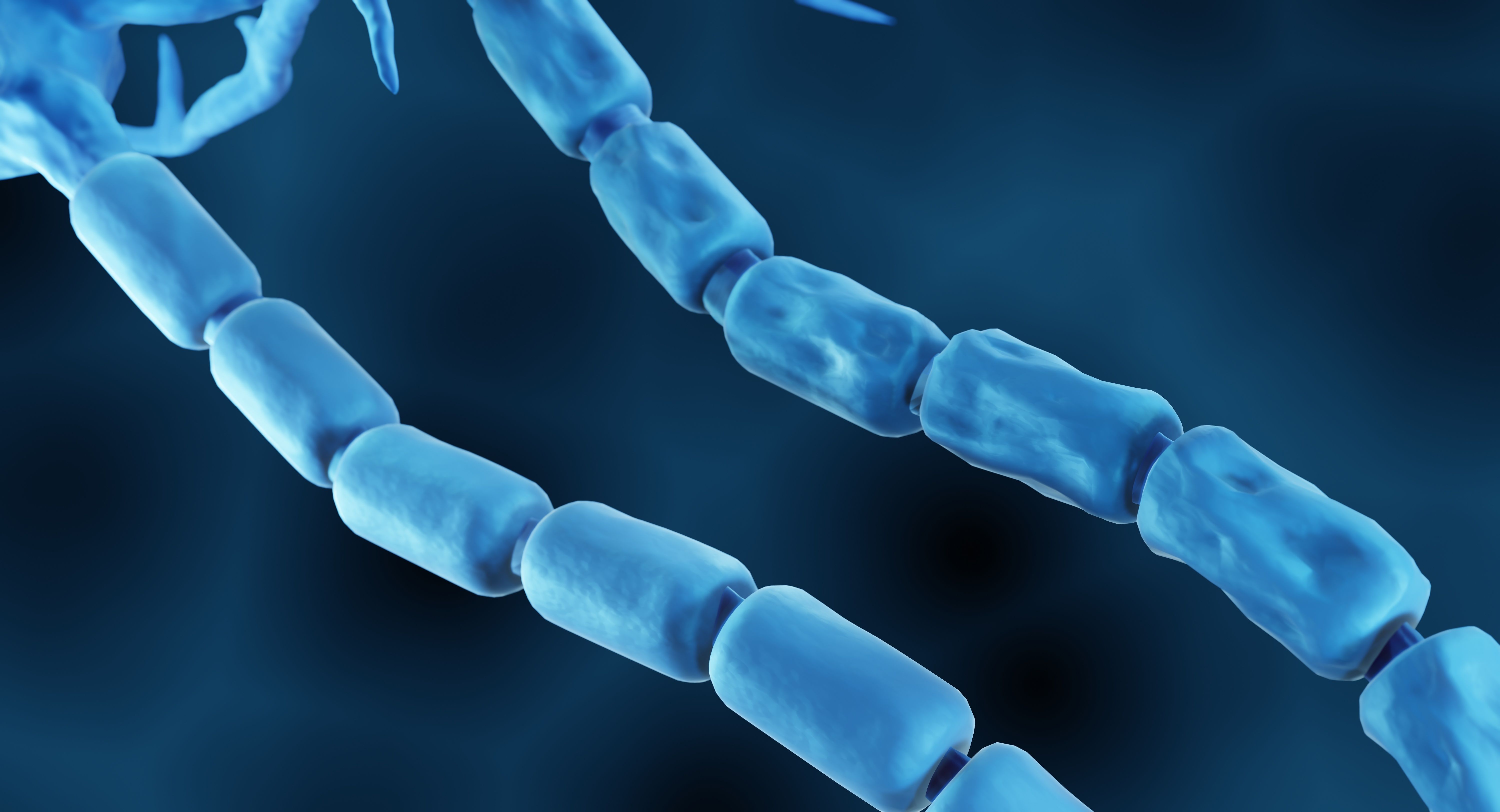 Myelin sheath damage in MS concept | image credit: Artur - stock.adobe.com