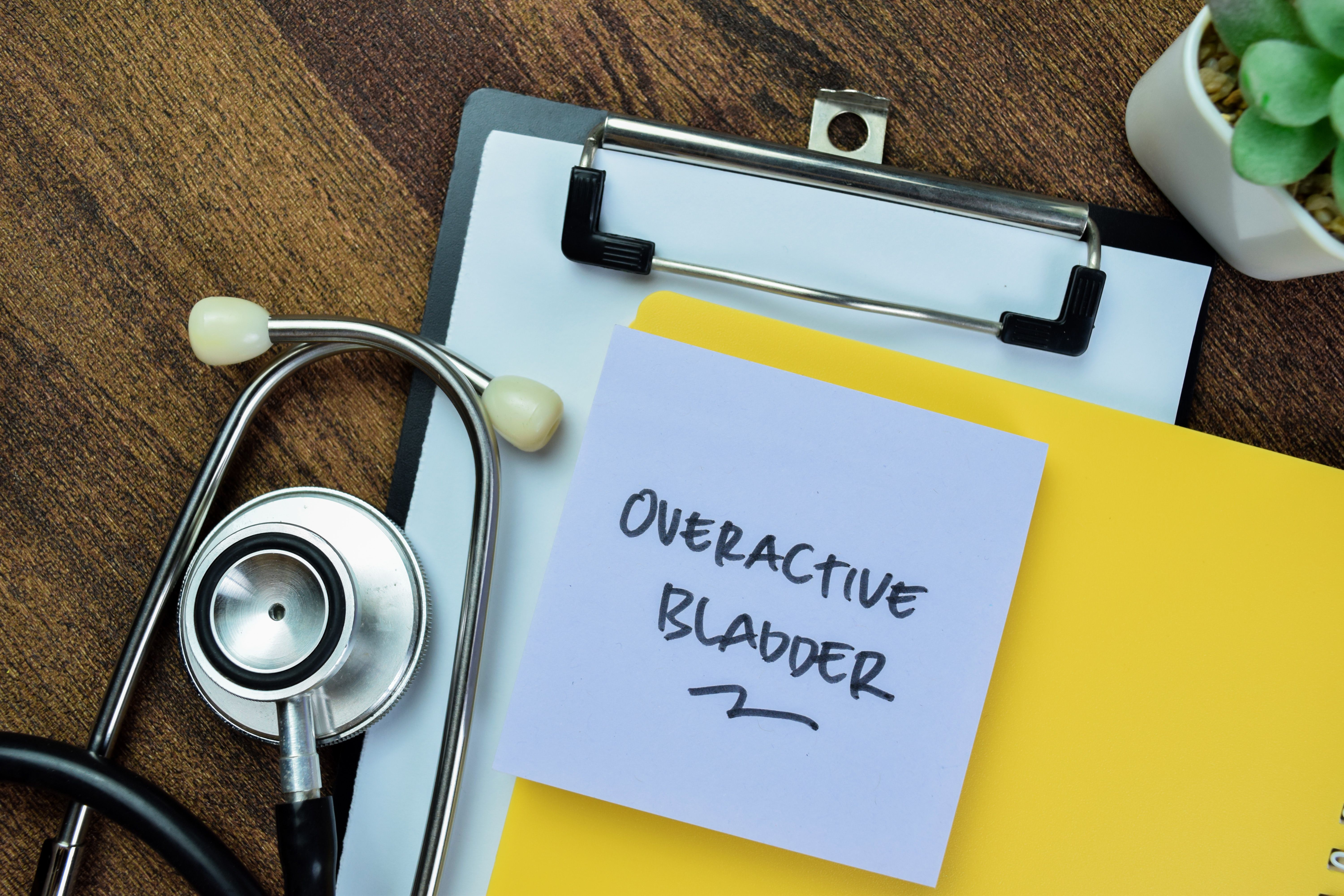 Overactive bladder | Image Credit: syahrir - stock.adobe.com