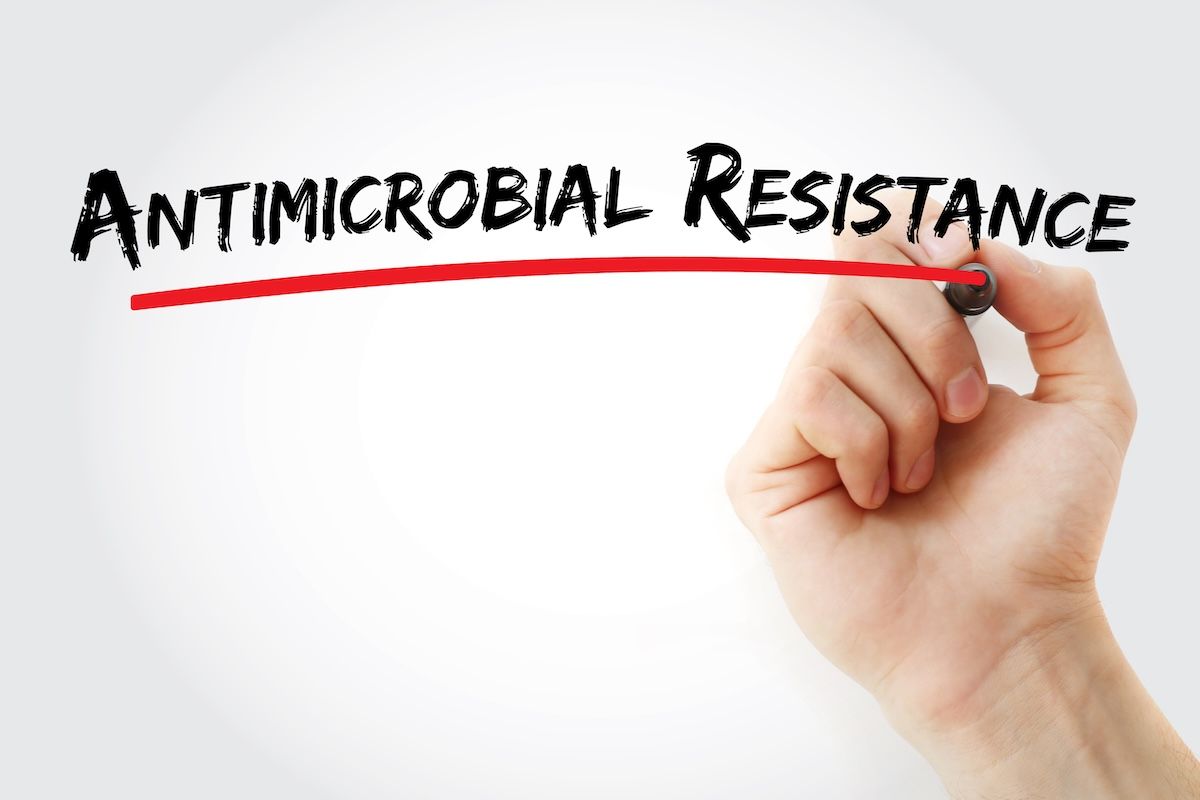 Antimicrobial resistance | Image Credit: © dizain-stock.adobe.com
