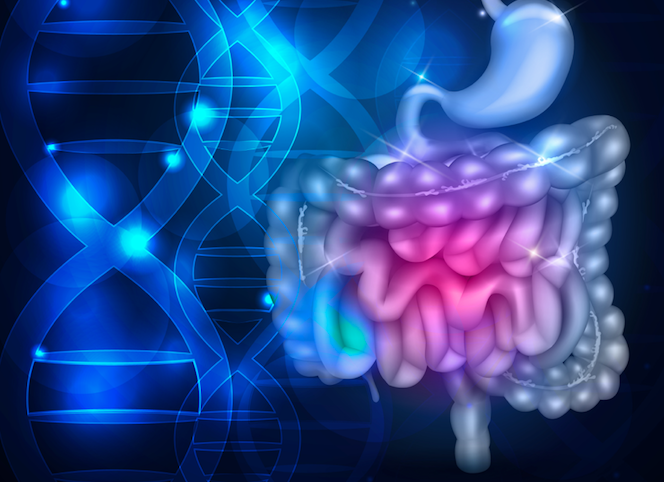 digestive tract diagram next to a diagram of DNA