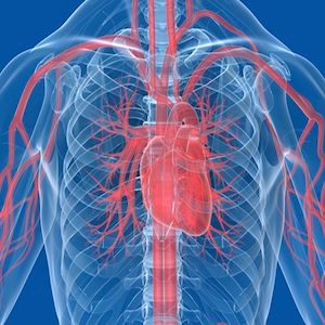 Increased Mortality Rates Found in Patients With Borderline Pulmonary Hypertension