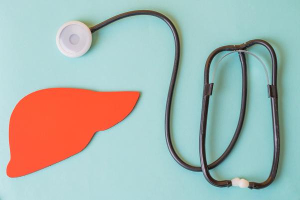 liver and stethoscope | Image credit: filins - stock.adobe.com