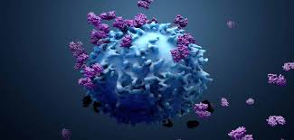 refractory mantle cell lymphoma | Image: Kite