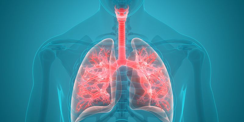 Study Compares Mepolizumab, Benralizumab for Eosinophilic Asthma