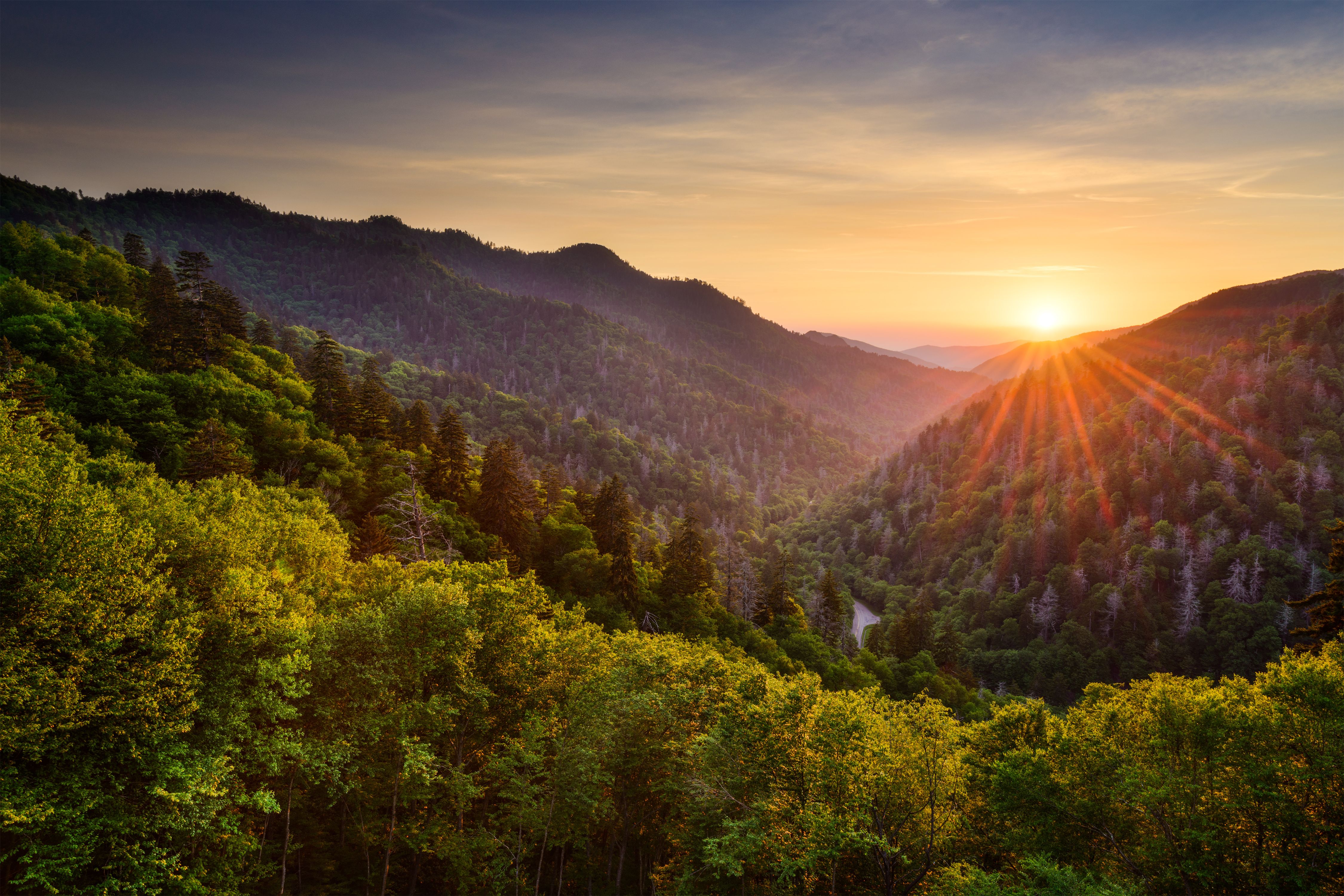 Smoky mountains | Image credit: SeanPavonePhoto - stock.adobe.com