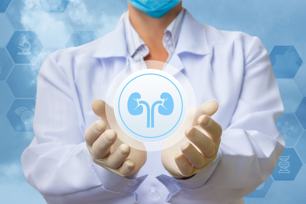 Kidney icon between doctor's hands