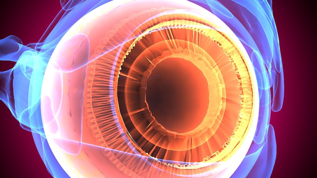 glaucoma | Image credit: PIC4U - stock.adobe.com