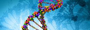 DNA | Image credit: NHS