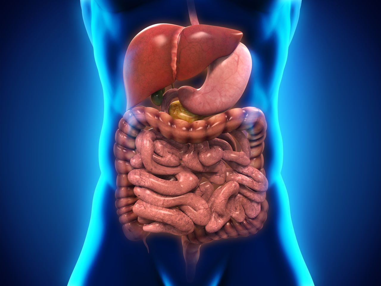 Early Study Using Roundworms Finds Probiotic Protective Against Parkinson Disease 