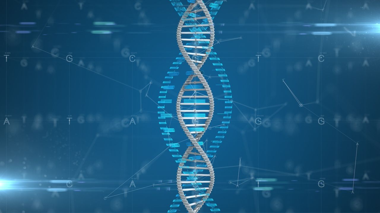 Following an investigation, the FDA confirmed that shipments of delandistrogene moxeparvovec can resume. | Image Credit: immimagery - stock.adobe.com
