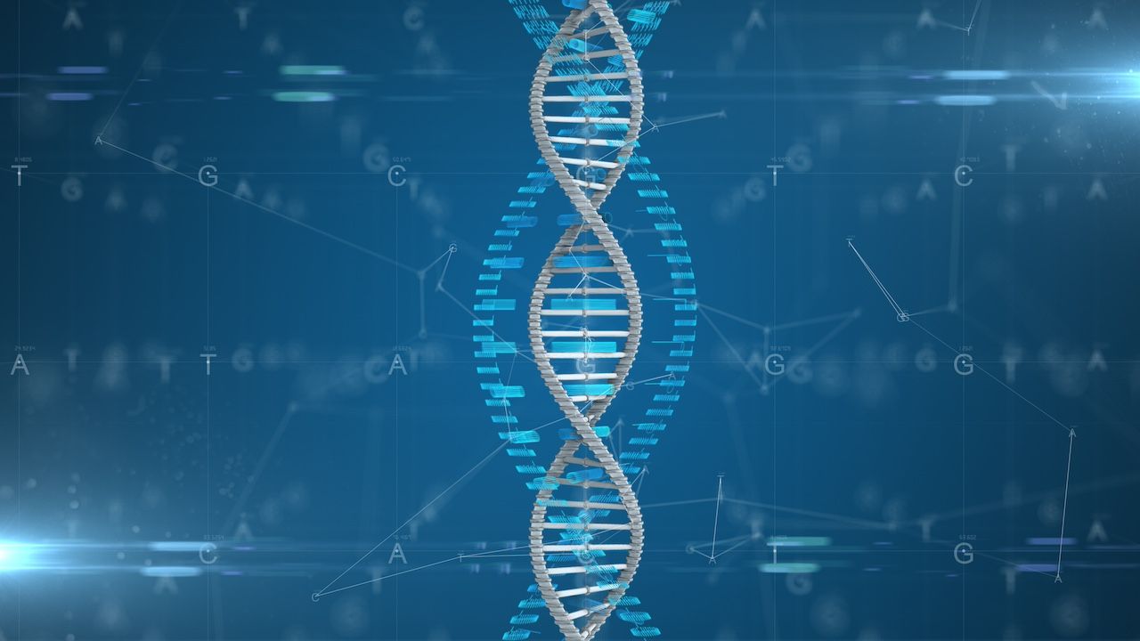 Molecular engineering of DNA for Gene therapy | Image Credit: © immimagery - stock.adobe.com