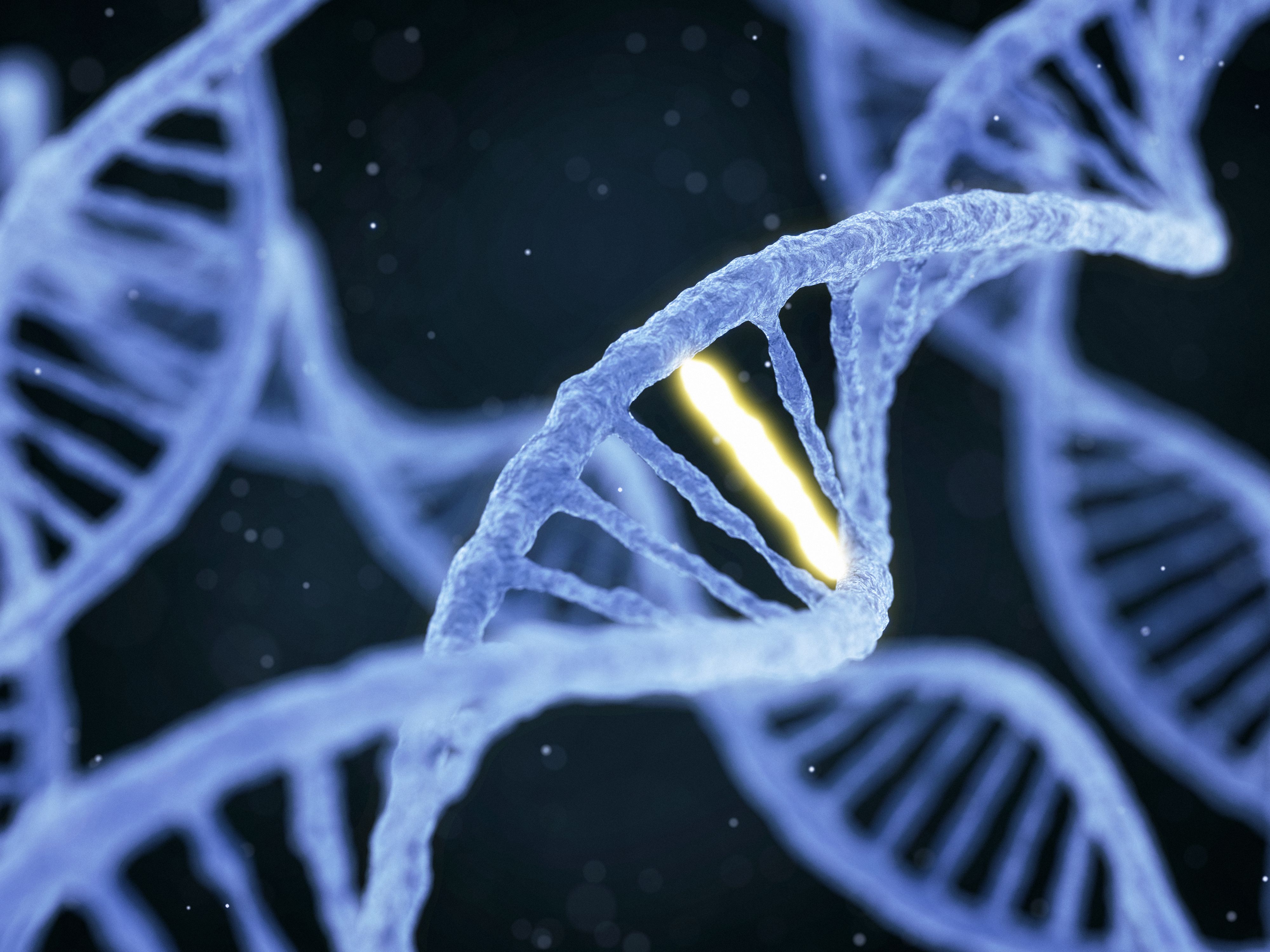 Risk stratification in AML could benefit from mutational scoring | image credit: faraktinov - stock.adobe.com