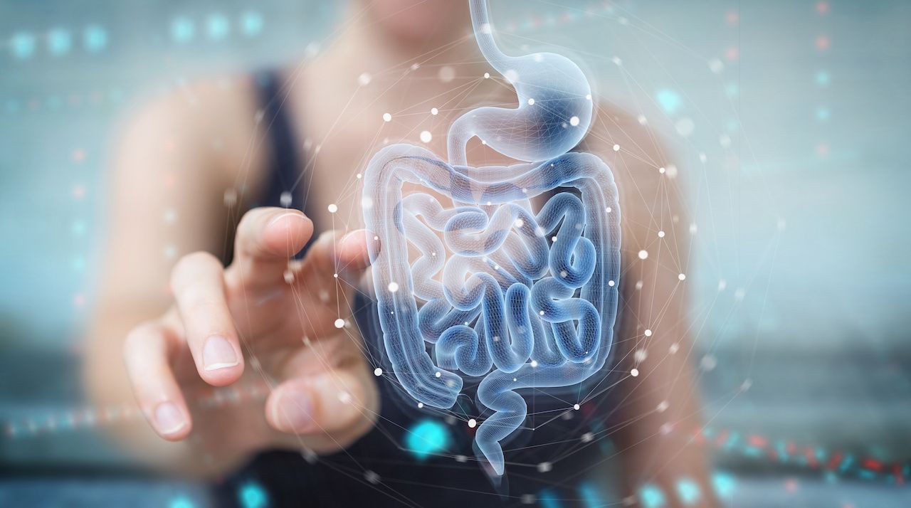 Woman using digital x-ray of human intestine holographic scan projection 3D rendering | Image Credit: sdecoret - stock.adobe.com