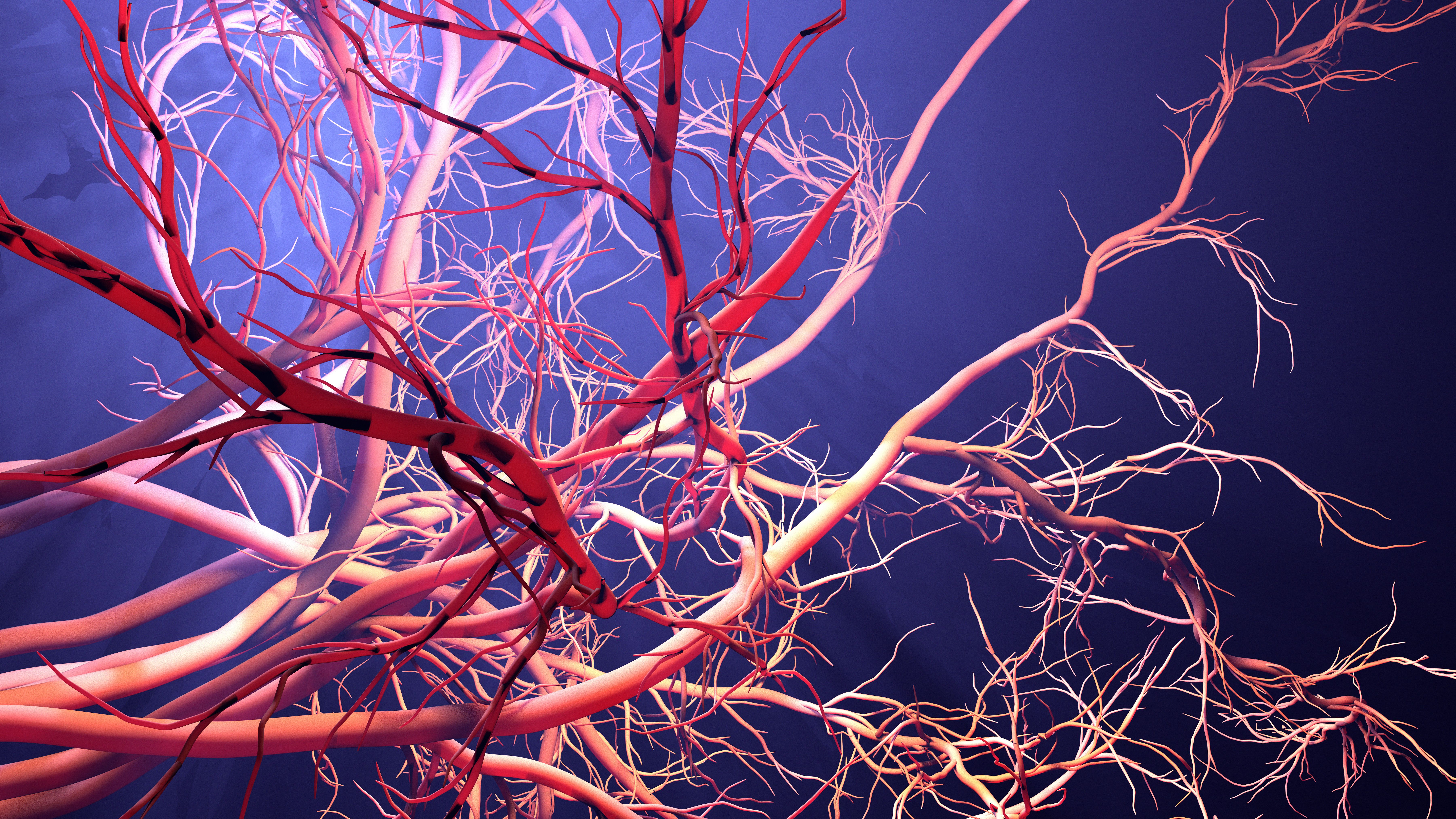 New blood vessel formation | Image credit: Design Cells - stock.adobe.com