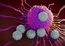 image of chimeric antigen receptor (CAR) T-cell 