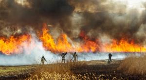 Firefighters putting out a wildfire. | Image credit: @AleksandrLesik _AdobeStock.jpeg