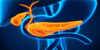 Image of bile ducts