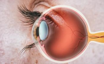 Structure of human eye | Image credit: svetazi - stock.adobe.com