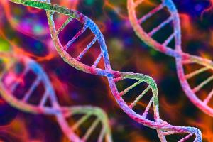 Researchers developed a new testing method based on loop-mediated isothermal amplification, a technique that amplifies DNA at a constant temperature rather than cycling through multiple heating stages like traditional polymerase chain reaction testing. | Image credit: Dr_Microbe - stock.adobe.com