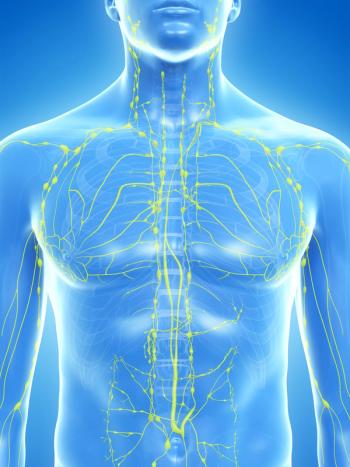lymphatic system