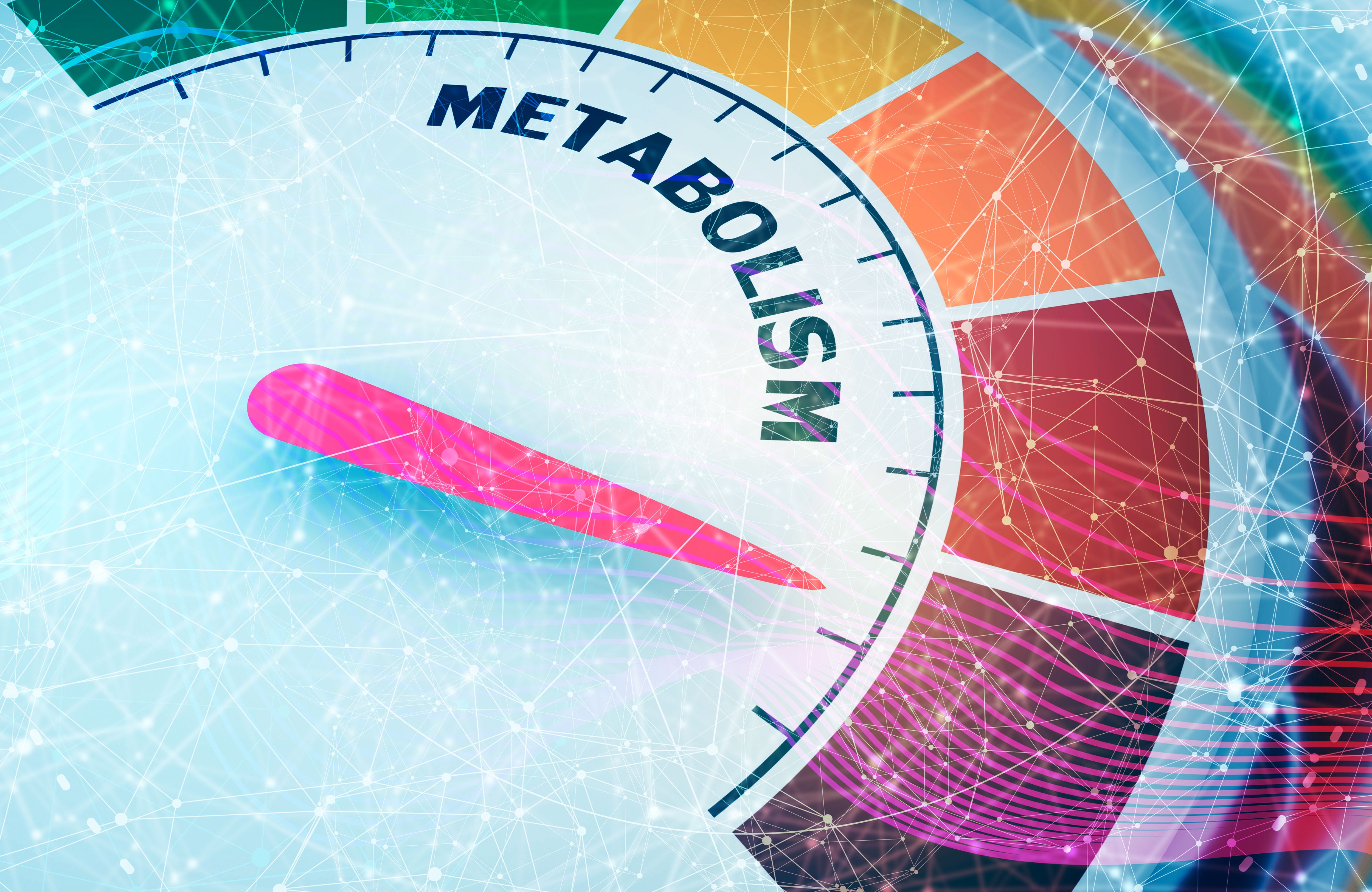 SMA has previously been associated with multiple metabolic and nutritional issues | image credit: JEGAS RA - stock.adobe.com