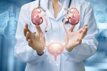 Urinary system | Image credit: natali_mis – stock.adobe.com