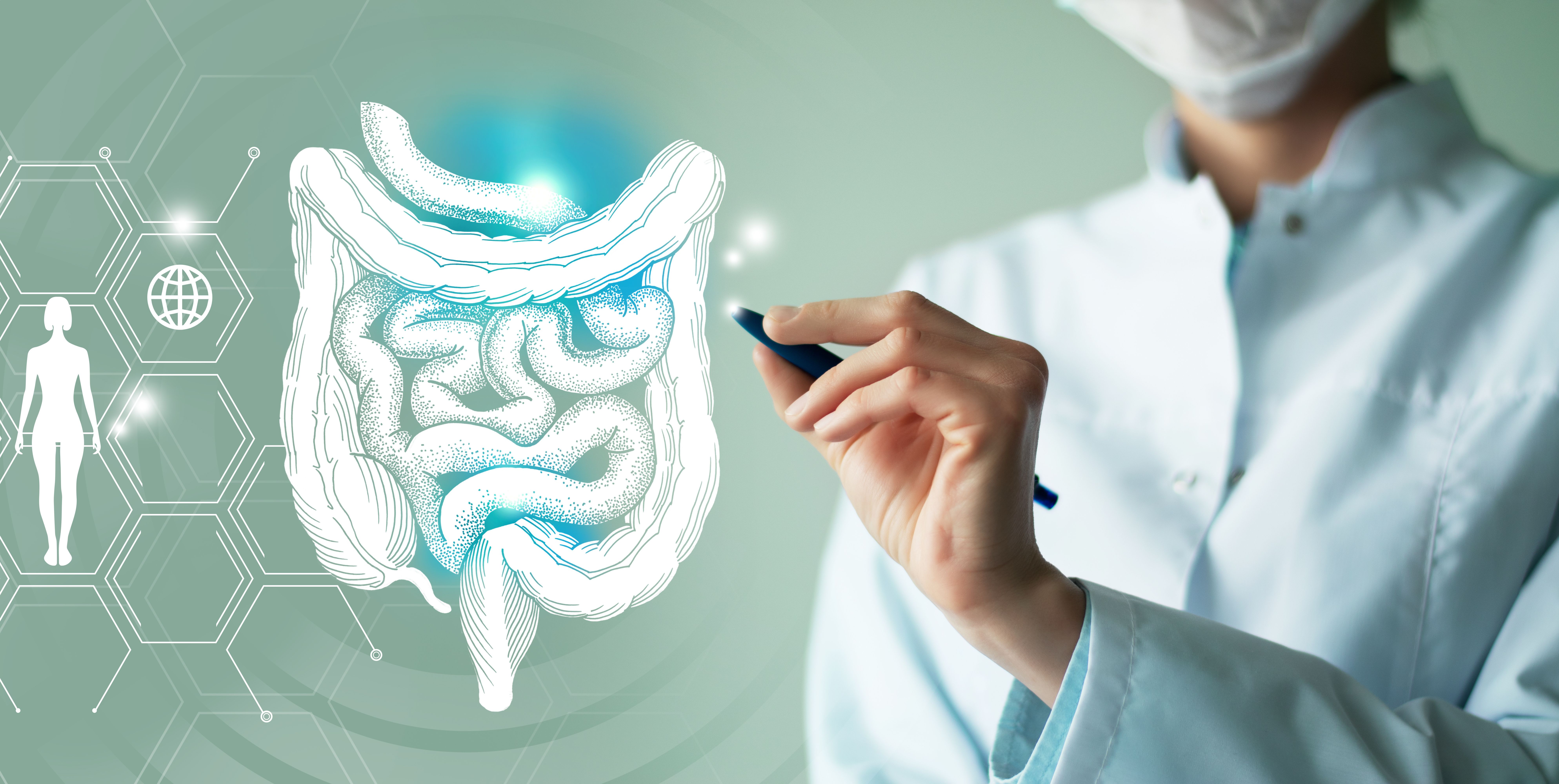 digestive tract | Image credit: mi_viri - stock.adobe.com