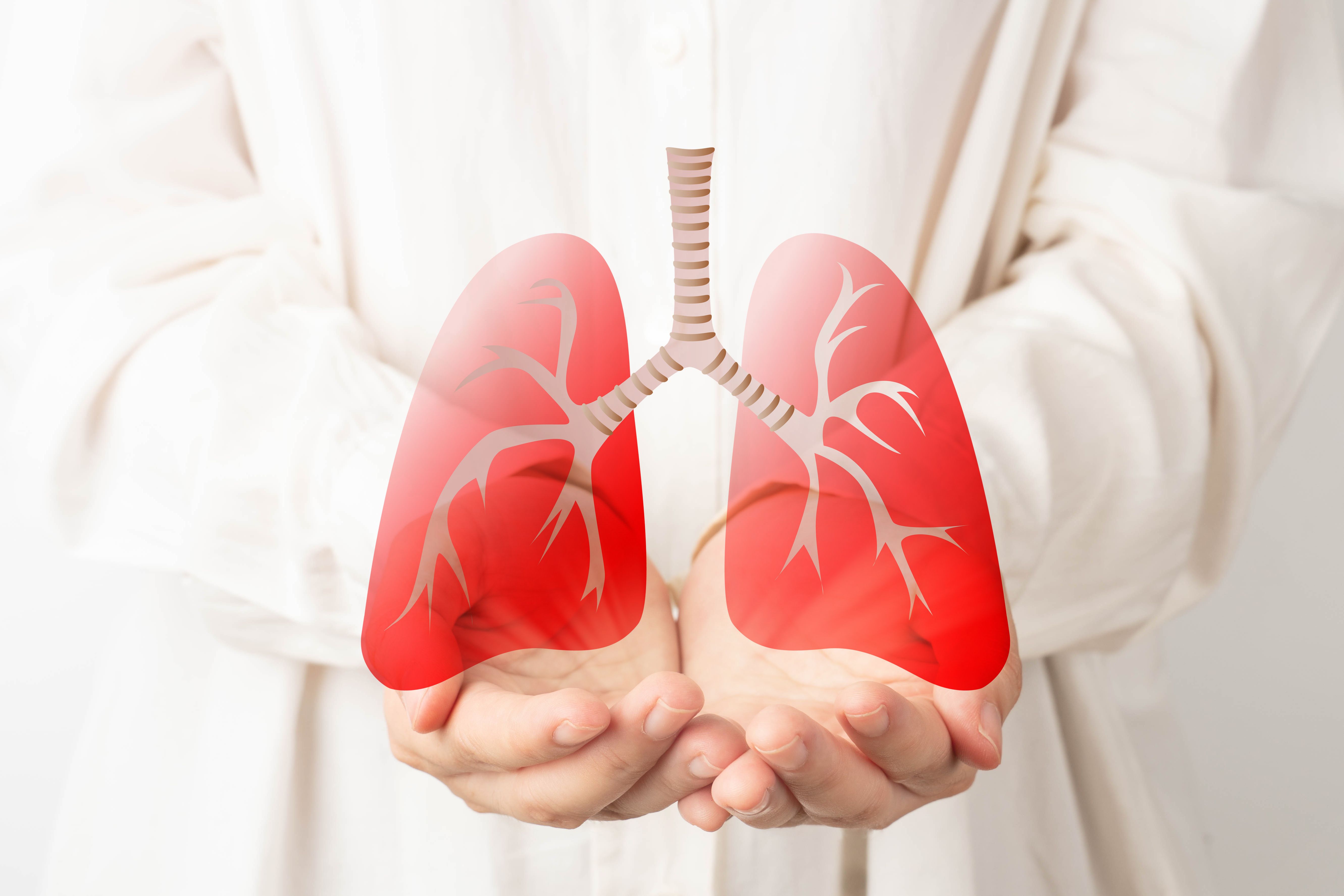 Hands Holding Lungs | image credit: Orawan - stock.adobe.com