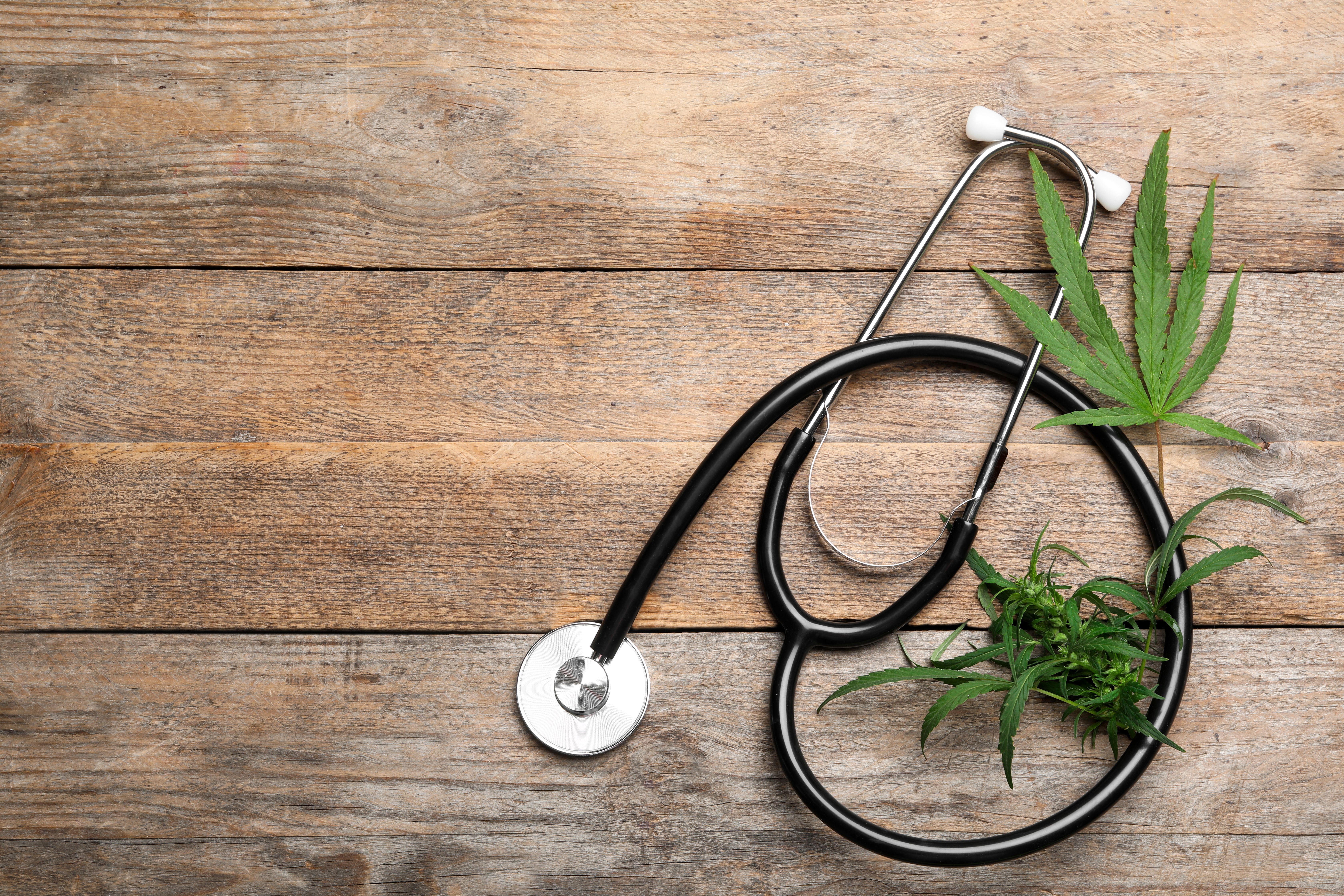 Cannabis Leaves and Stethoscope | image credit: New Africa - stock.adobe.com