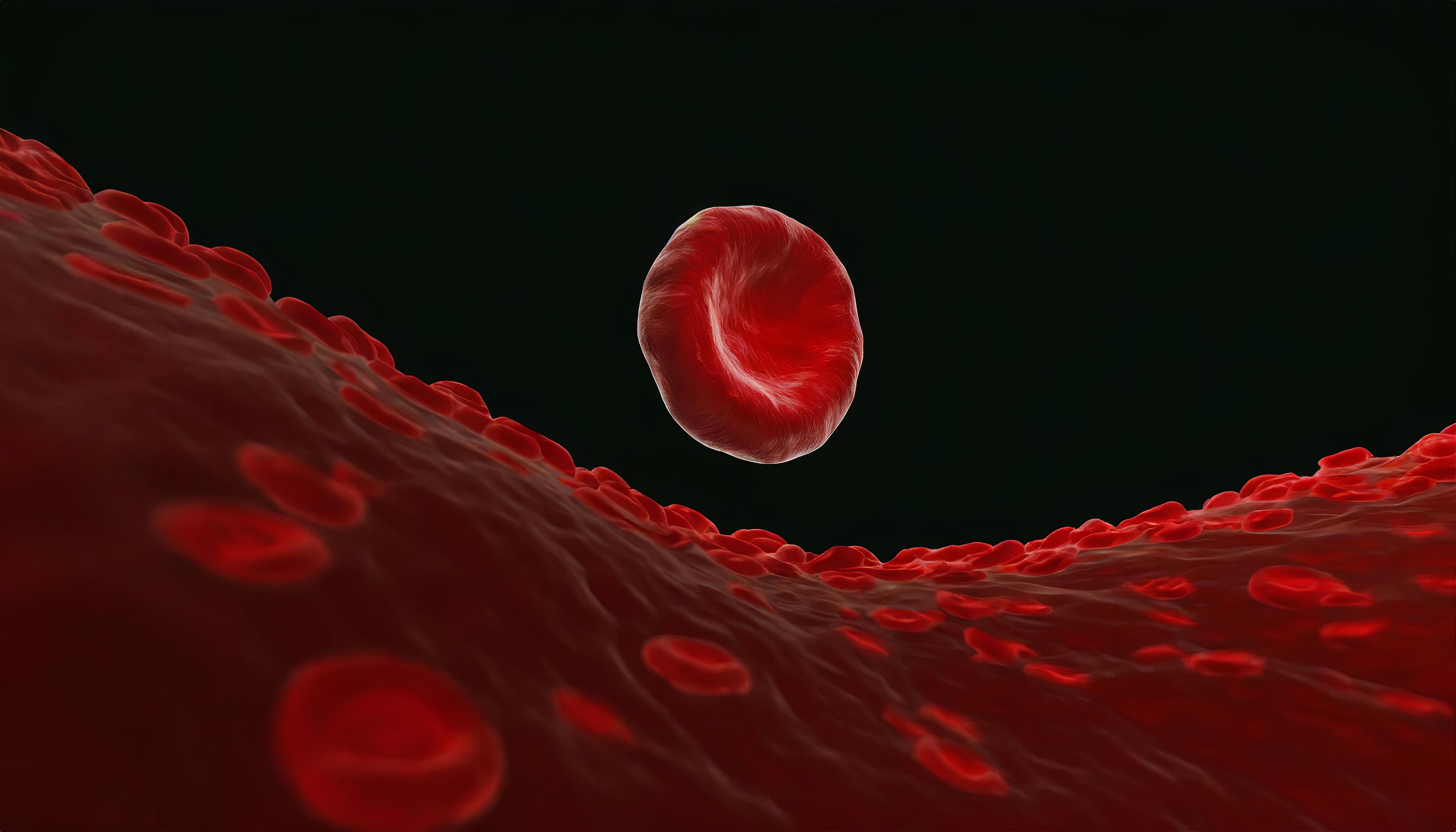 Hemolysis is the destruction of red blood cells, a common symptom of PNH | image credit: Red Lemon - stock.adobe.com