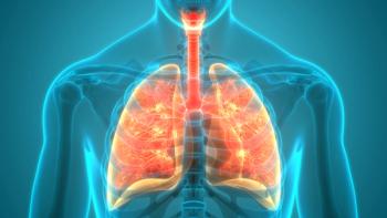 lungs highlighted