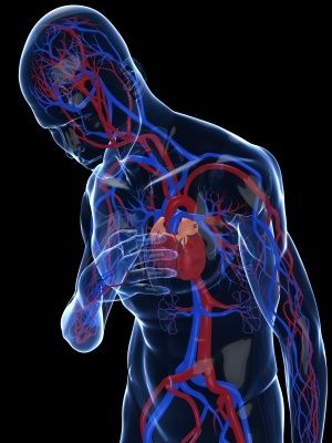 Are Prognostic Models Accurate at Predicting Mortality, Morbidity in Patients With Chronic Heart Failure?