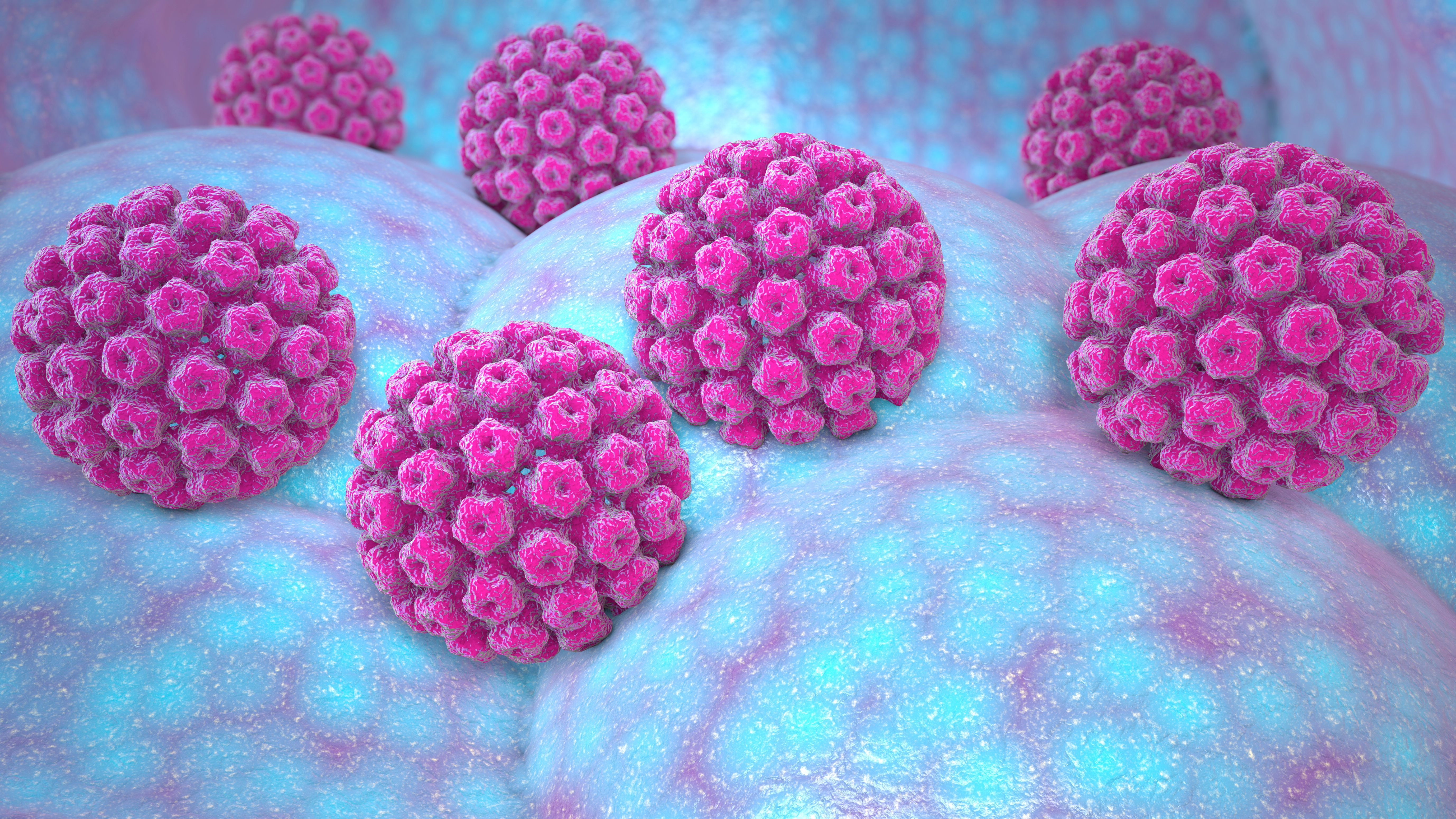 HPV | Image credit: Naeblys - stock.adobe.com