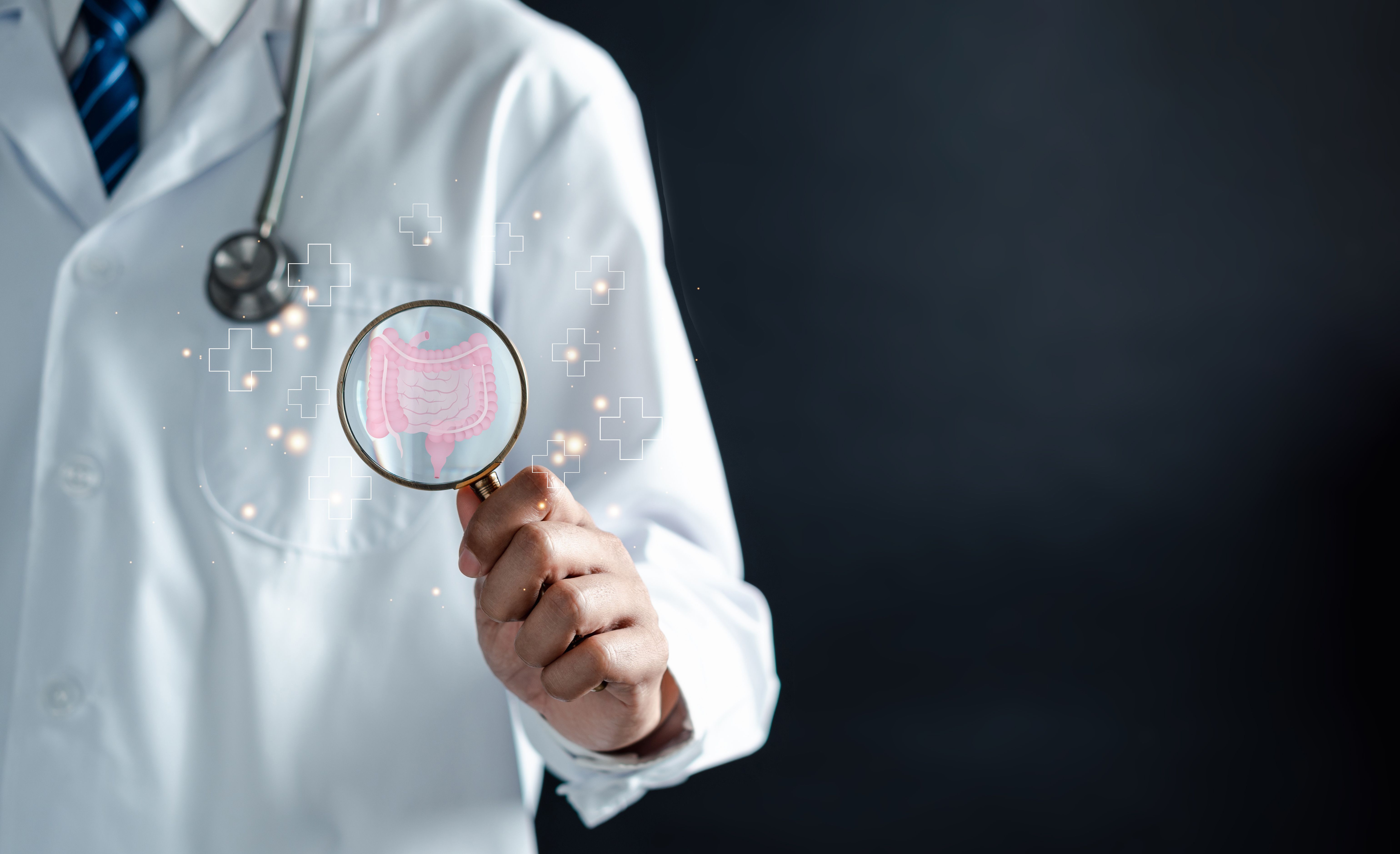 Inflammatory bowel disease. | Image Credit: Kiattisak - stock.adobe.com
