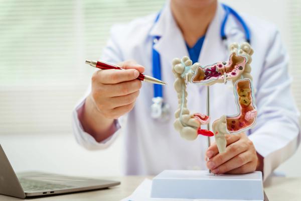 Anatomy of colon model | Image credit: M+Isolation+Photo - stock.adobe.com