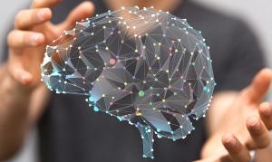 Virtual brain map | Image credit: vegefox.com - stock.adobe.com