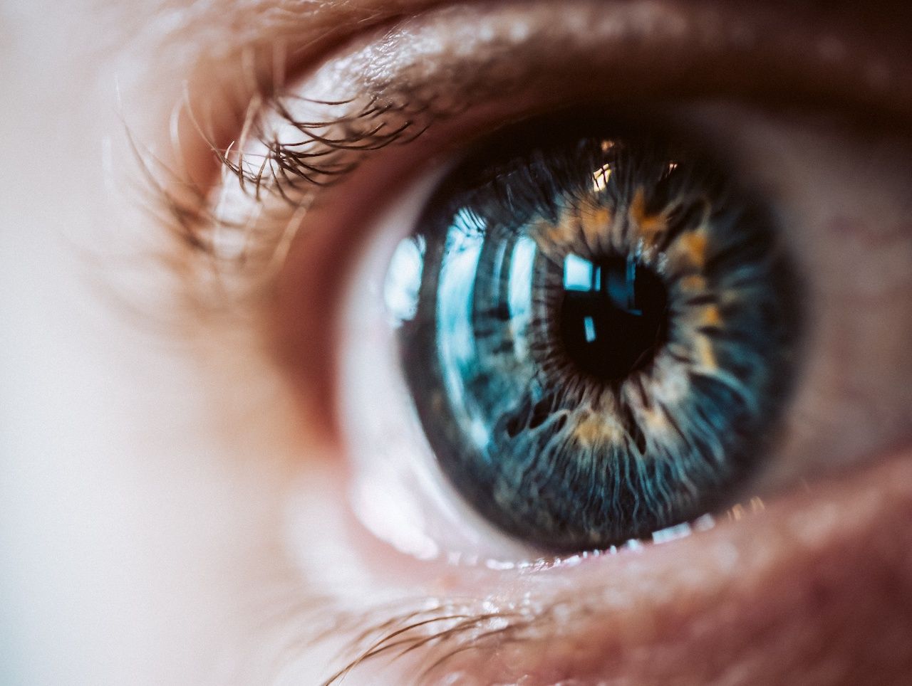 close up of an eye