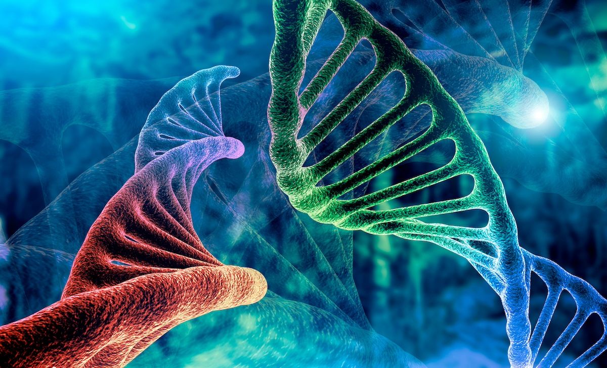DNA research | Image Credit: vladimircaribb-stock.adobe.com